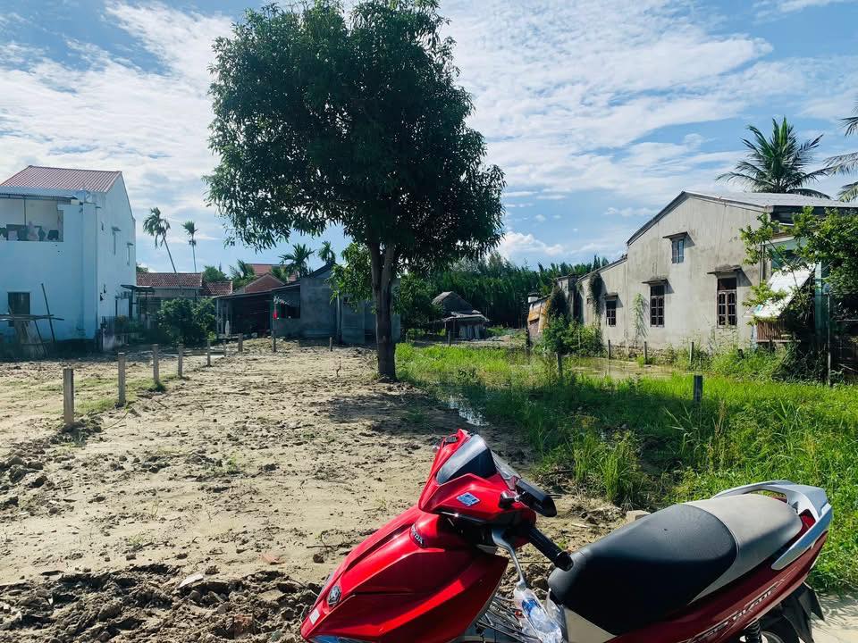 Đất vườn hướng Đông 170m² đường Tống Văn Sương - Giá chỉ 3 tỷ!