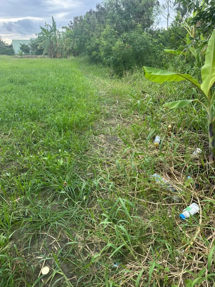 Đất nền Long Chánh, Gò Công, Tiền Giang 46,000m² - Giá chỉ 1.4 triệu/m²