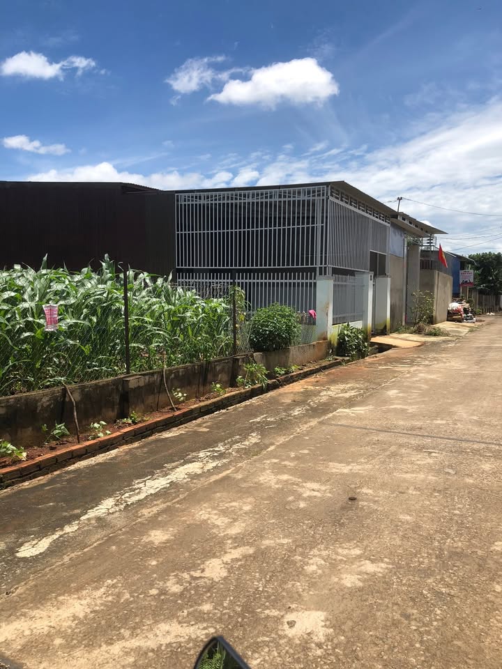 Đất nền Phước An, Krông Pắc 132m² giá 1.25 tỷ - Đầu tư sinh lời ngay!