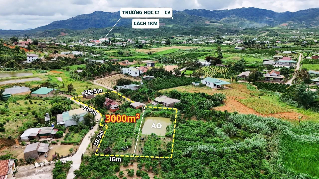 Đất 3 mặt tiền tại Hẻm Blaosire, Bảo Lộc 3000m² giá 2.8 tỷ - Cơ hội đầu tư tuyệt vời!