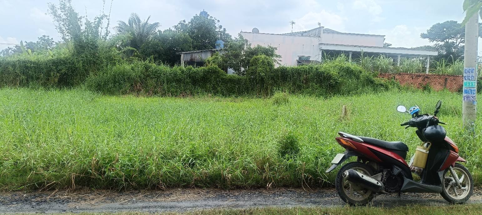 Đất nền chính chủ tại Mỹ Hạnh, Đức Hòa - 40m² giá 680 triệu - Sổ hồng riêng nhanh chóng!