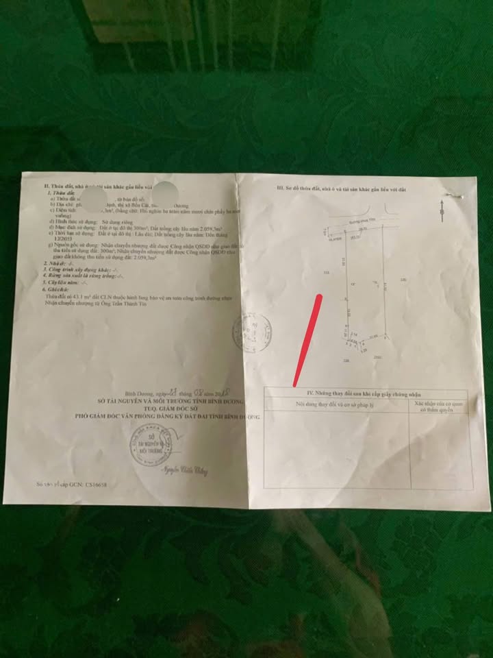 Đất mặt tiền đường Tân Định, Thủ Đức 2349m² giá chỉ 1.45 tỷ - Cơ hội đầu tư không thể bỏ qua!