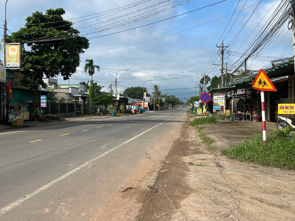 Đất nền mặt tiền đường Xuân Thành, Đức Linh 1200m² - Giá chỉ 4 tỷ!