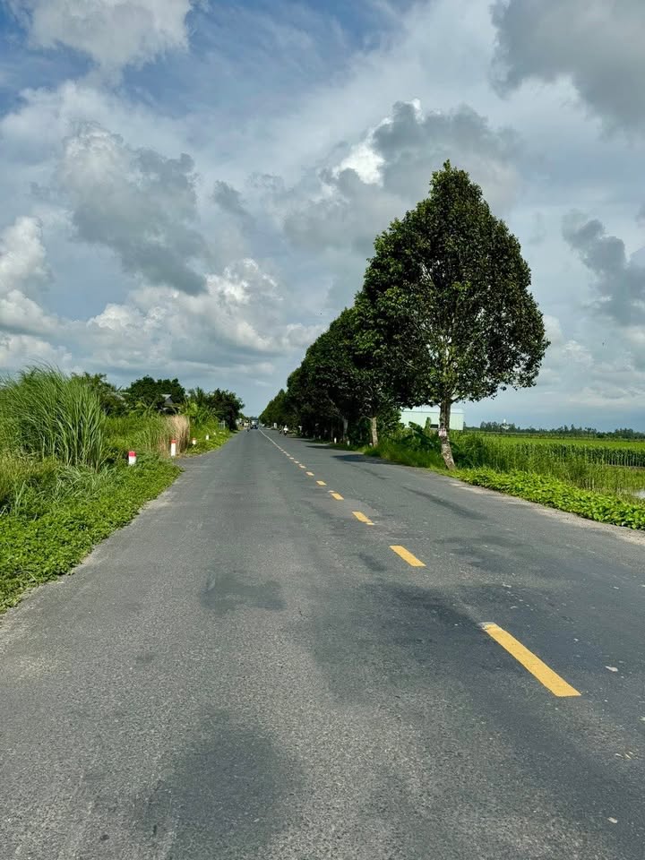 Đất mặt tiền Đường tỉnh 919, xã Trường Xuân, 1950m² - Đầu tư sinh lời hấp dẫn!