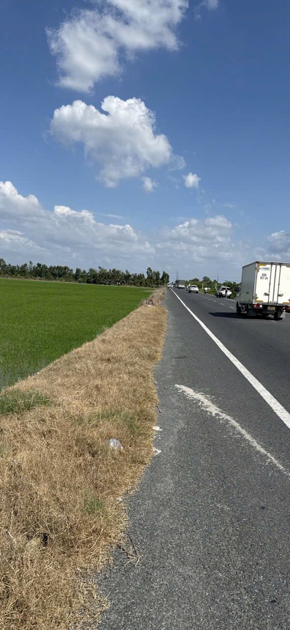 Đất mặt tiền 2502m² tại Trường Thành, Thới Lai - Cơ hội đầu tư tuyệt vời!