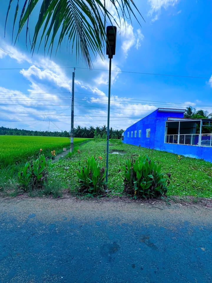 Đất nền Ấp Ô Ét, Tiểu Cần 560m² giá 520 triệu - Mặt tiền đường nhựa xe 5 tấn!