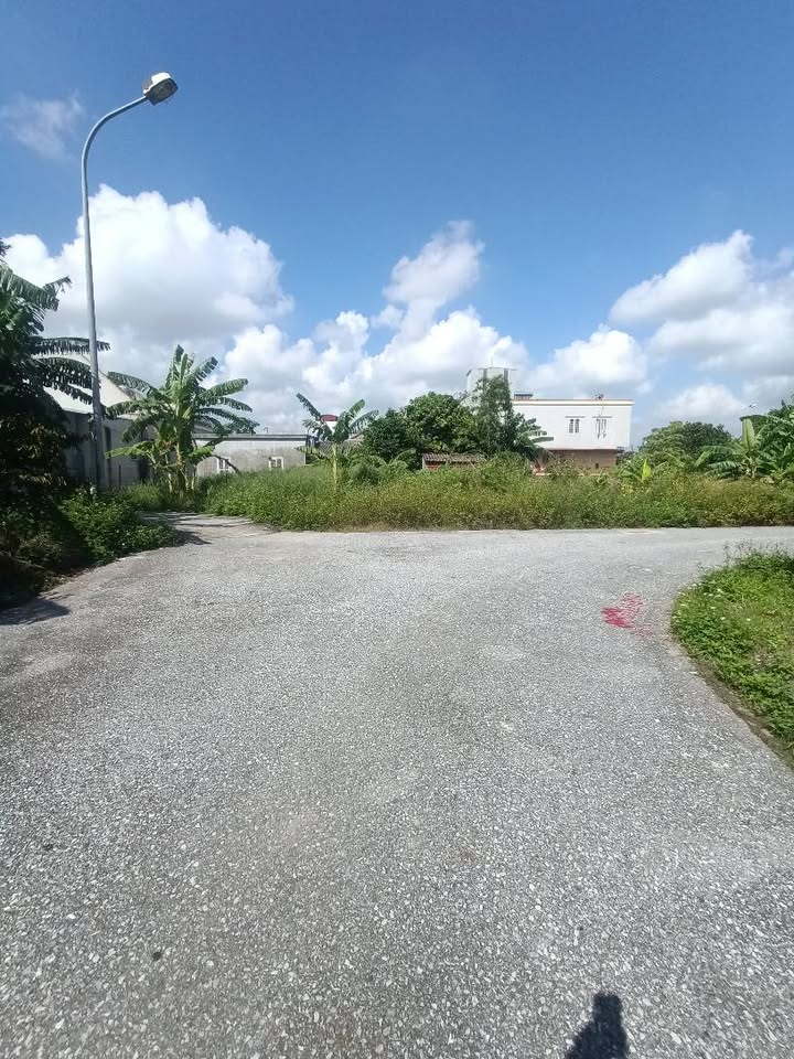 Đất đẹp Bắc Sơn Kiến An 80.5m² giá 6.486 tỷ - Đầu tư sinh lời ngay!