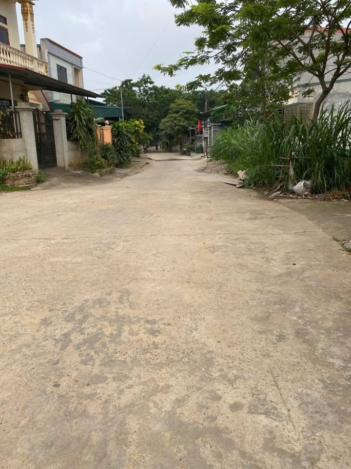 Đất thổ cư Tứ Yên, Sông Lô 130m² chỉ 1.5 tỷ - Cơ hội đầu tư hiếm có!