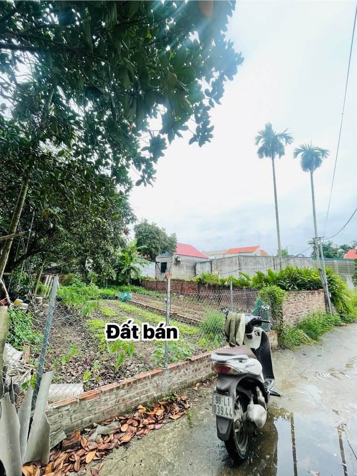 Đất nền Võng Xuyên, Phúc Thọ 114m² giá chỉ 330.6 triệu - Đầu tư sinh lời ngay!