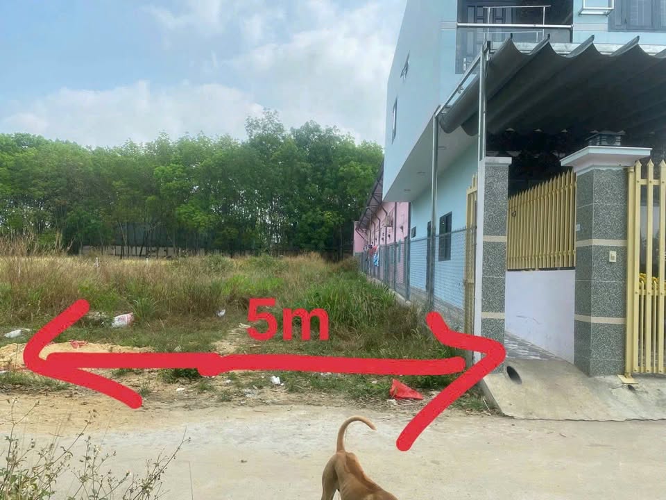 Đất thổ cư 60m² tại Phường Tân Định, Bến Cát - Giá chỉ 2 tỷ, thích hợp xây trọ!