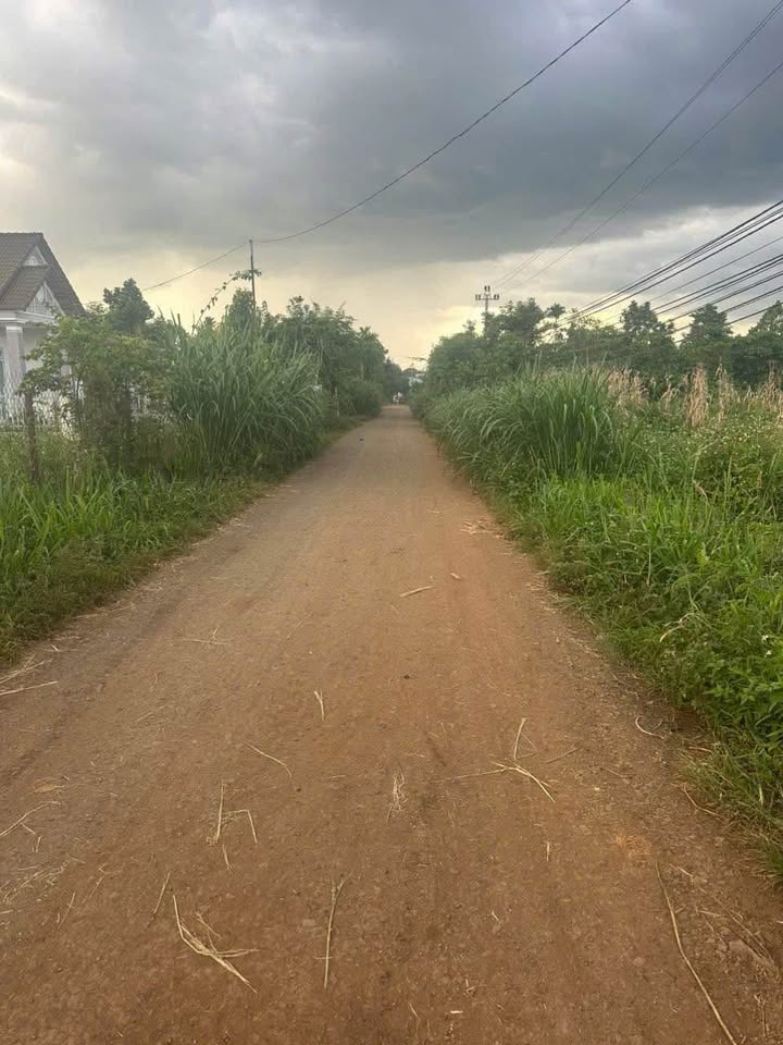 Đất nền Hòa Thuận, Buôn Ma Thuột 120m² giá chỉ 499 triệu - Đầu tư sinh lời ngay!