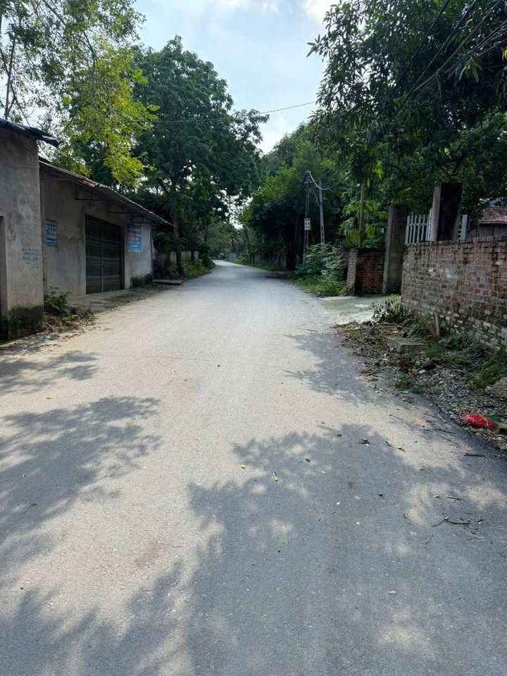 Đất nền Tam Quan Vĩnh Phúc 117m² giá 2.5 tỷ - Pháp lý rõ ràng, sẵn sàng giao dịch!