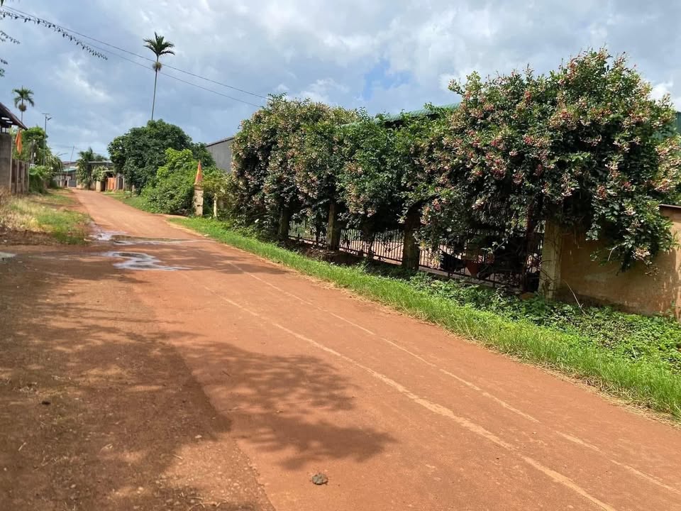 Đất nền 600m² tại xã Đức Minh, Đắk Mil - Giá chỉ 790 triệu, thương lượng ngay!