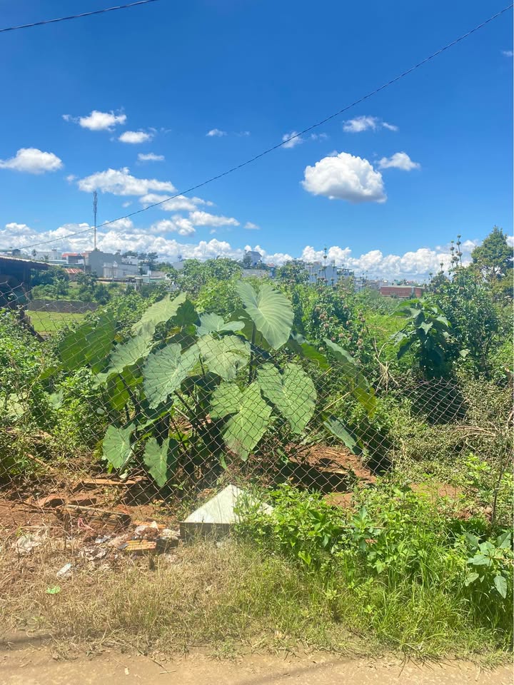 Đất nền Liên Hiệp, Đức Trọng 210m² giá 2.5 tỷ - Đầu tư sinh lời lý tưởng!