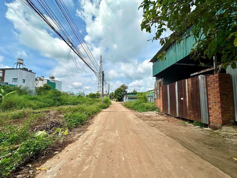 Đất nền Tân Lợi Buôn Ma Thuột 115m² giá chỉ 2.95 tỷ - Đầu tư ngay!