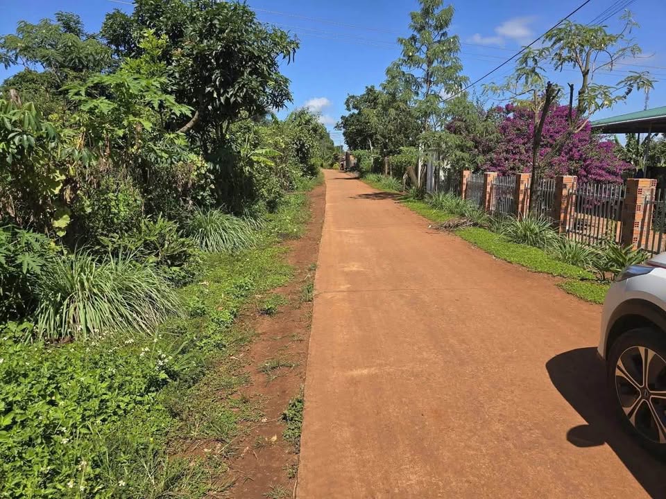 Đất nền Ea H'leo Đắk Lắk 735m² giá 899 triệu - Cơ hội đầu tư tuyệt vời!