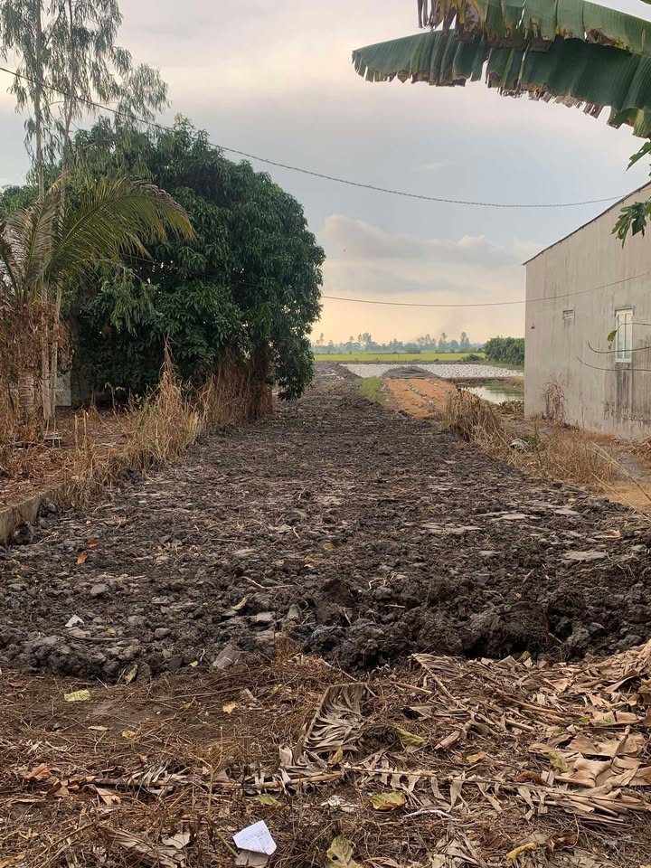 Đất nền Vĩnh Chánh, Long Xuyên 5174m² giá 1.8 tỷ - Mặt tiền sông view đẹp!