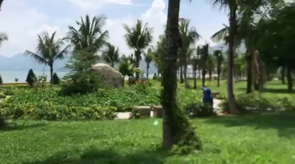 Căn hộ mini cho thuê tại Xuân Diệu, Quy Nhơn 2.2 triệu - Đón gió biển thoáng mát!