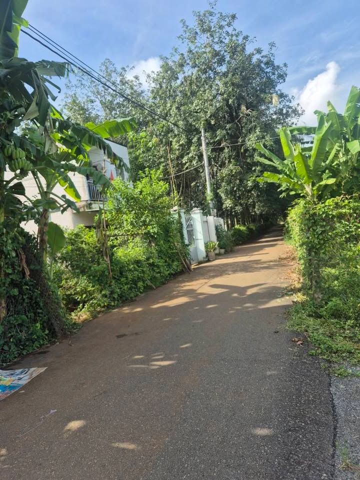 Đất nền Hòa Long, Bà Rịa 600m² giá 2.99 tỷ - Sổ đỏ chính chủ!