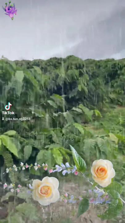 Đất Farm Đạ Đờn Lâm Hà 7000m² giá 3.5 tỷ - Đường vào thuận tiện cho ô tô!