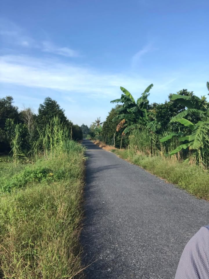 Đất nền thổ cư xã Tân Quới, Vĩnh Long 160m² giá 300 triệu - Đầu tư sinh lời ngay!