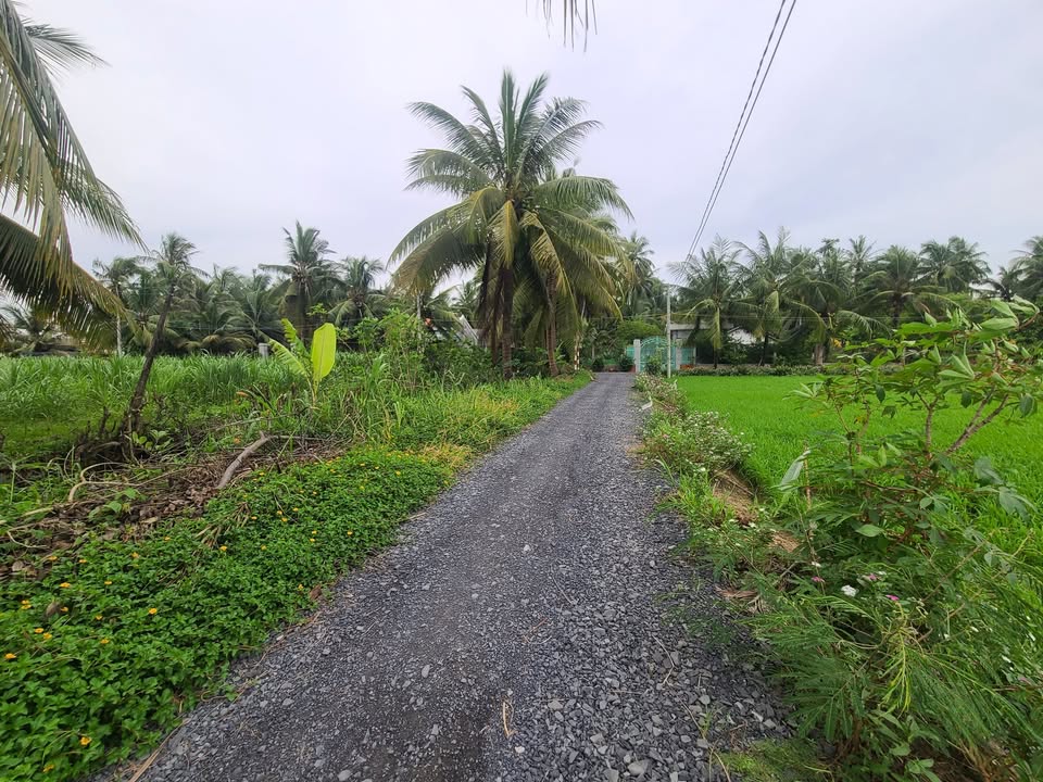 Đất nông nghiệp Ấp Bình Tây, Tiền Giang 630m² giá 650 triệu - Gần quốc lộ 50!