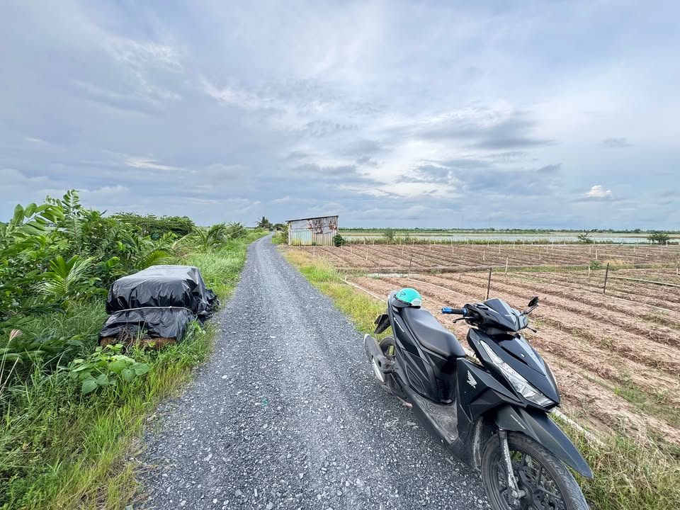 Đất mặt tiền đường đá Tân Điền 2000m² giá 950 triệu - Thích hợp làm nhà vườn