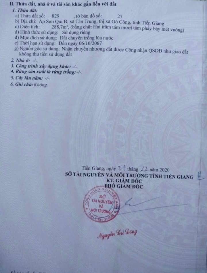 Nhà mặt tiền Đường bê tông Sơn Qui B, Gò Công 288,7m² giá 720 triệu - Chính chủ bán gấp!