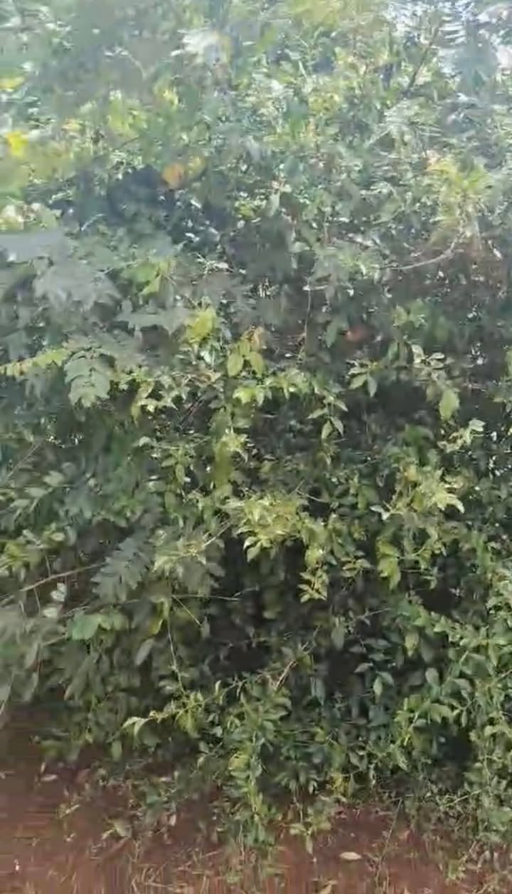 Đất mặt tiền đường Huỳnh Tấn Phát, Buôn Hồ, Đắk Lắk 250m² giá 870 triệu - Cơ hội đầu tư tốt!