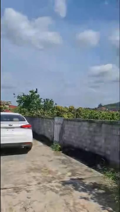 Mảnh vườn cây trái 500m² tại Tân Lập, Lục Ngạn - Chỉ 400 triệu!