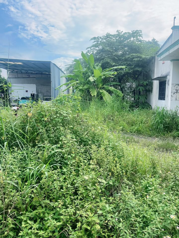 Đất nền Dĩ An 790m² giá 7.9 tỷ - Pháp lý rõ ràng, xây biệt thự ngay!