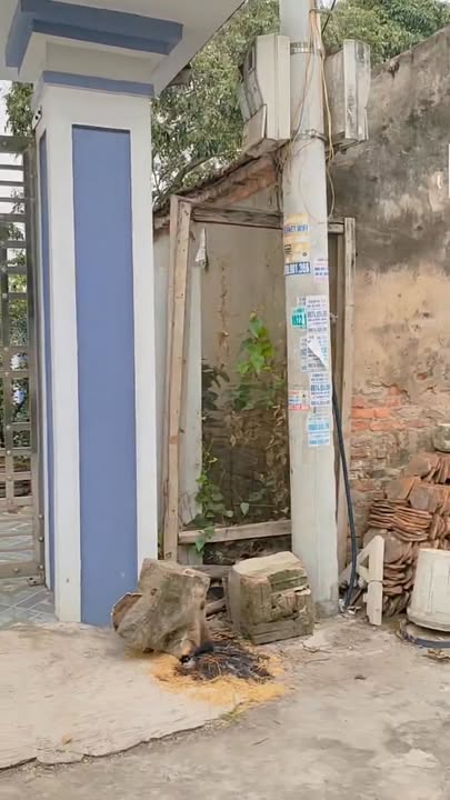 Đất thổ cư chính chủ 80,5m² tại Thôn Ngọc Tân, Bình Giang - Giá chỉ từ 700 triệu!