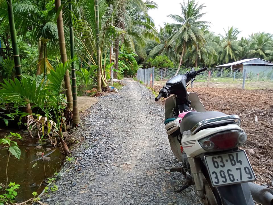 Đất nền 330m² tại Ấp Nhơn, Bình Ninh - Giá chỉ 285 triệu, hướng Bắc lý tưởng!