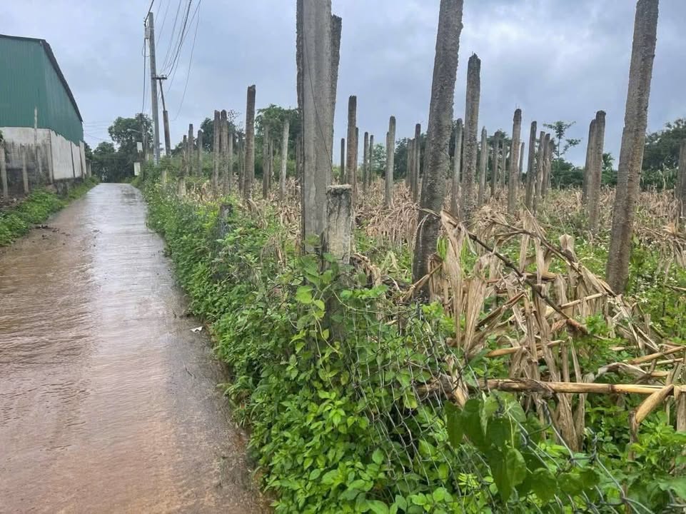 Đất nền Thuận An 100m² giá 750 triệu - Gần trường học, vị trí đẹp!