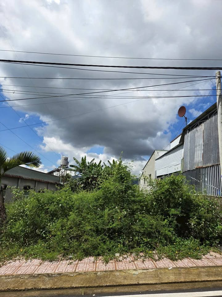 Đất nền mặt tiền Ngô Tất Tố, Lộc Châu 260m² giá 2.7 tỷ - Cơ hội đầu tư hấp dẫn!