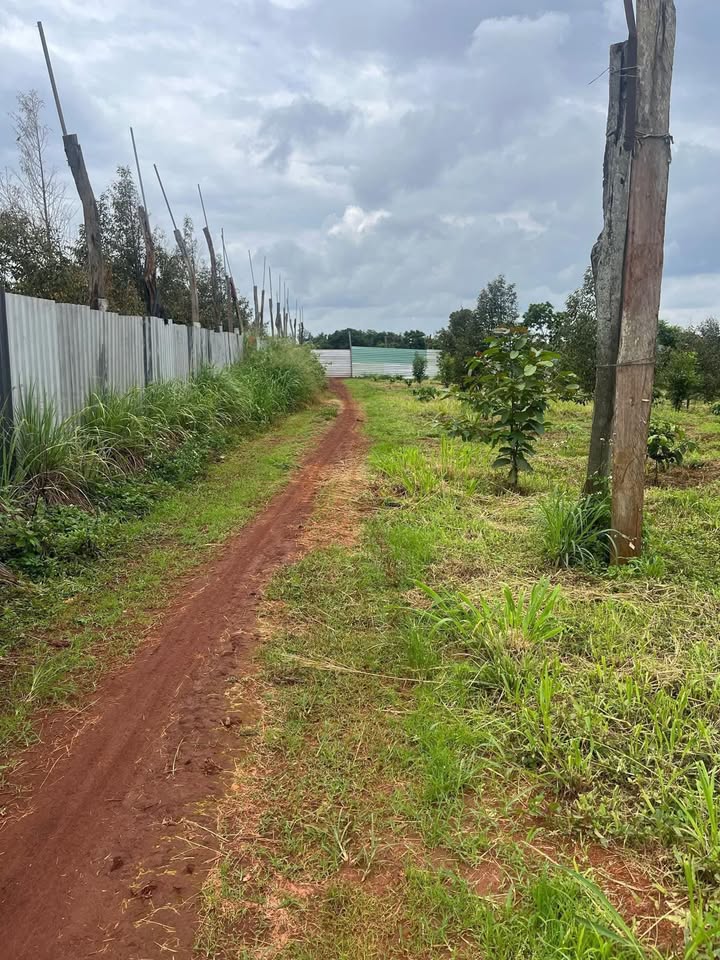 Nhà cấp 4 110m² xã Ea Khal giá chỉ 120 triệu - Cơ hội đầu tư hiếm có!