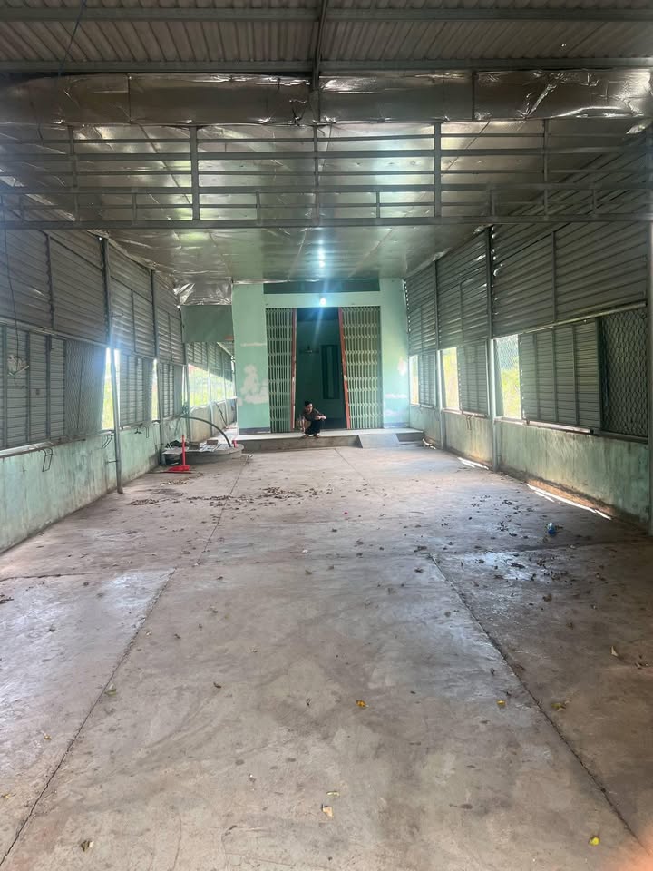 Đất thổ cư 392m² Quốc lộ 14, Chư Pưh, Gia Lai - Giá chỉ 750 triệu!