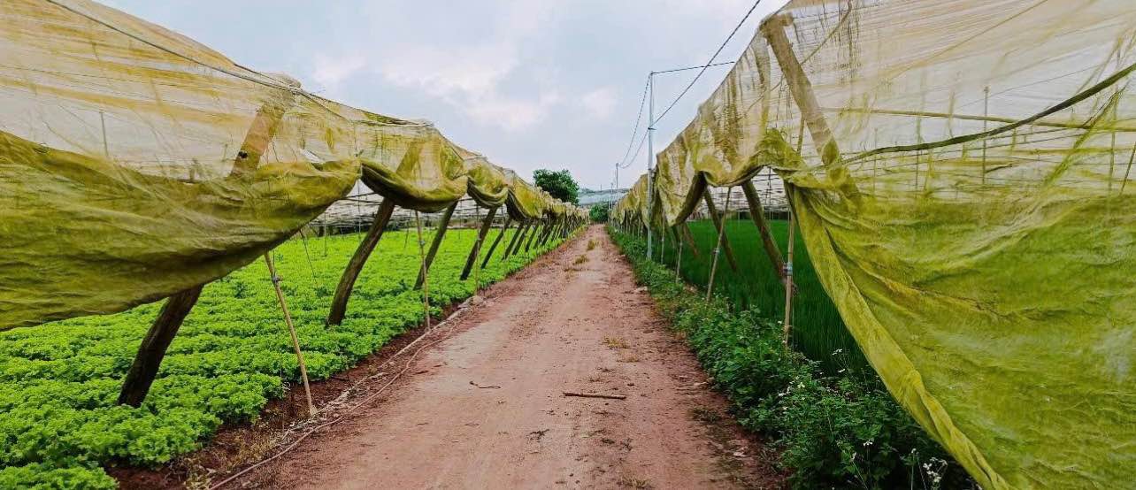 Đất Đẹp Quảng Lập 4900m² giá 2.793 tỷ - Đầu tư sinh lời ngay lập tức!