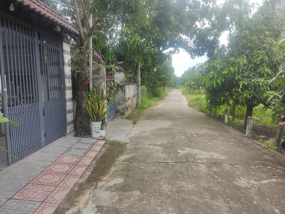 Đất thổ cư Cam Hiệp Bắc 177m² giá chỉ 1.6 tỷ - Cơ hội đầu tư hấp dẫn!