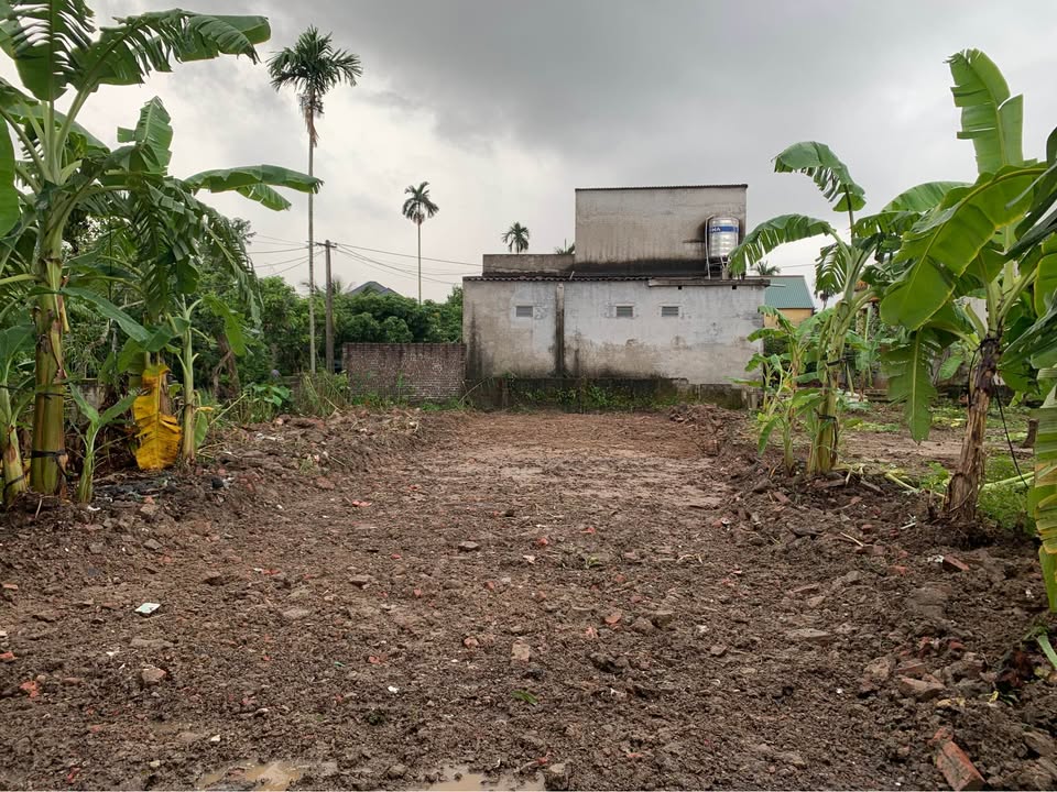 Đất nền khu 9, thị trấn Thanh Hà 98m² giá chỉ 700 triệu - Sổ đỏ trao tay, xây dựng ngay!