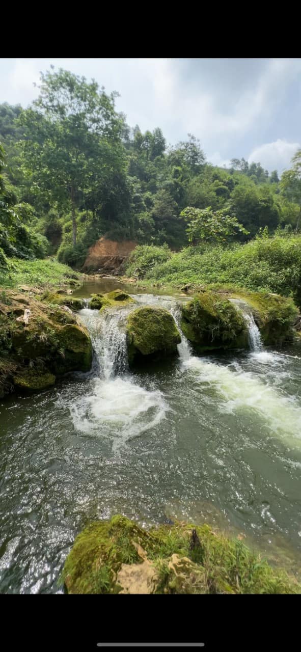 Trang trại Bản Sen, Mường Khương 26.473m² giá 2 tỷ - Đầu tư sinh lời lý tưởng!