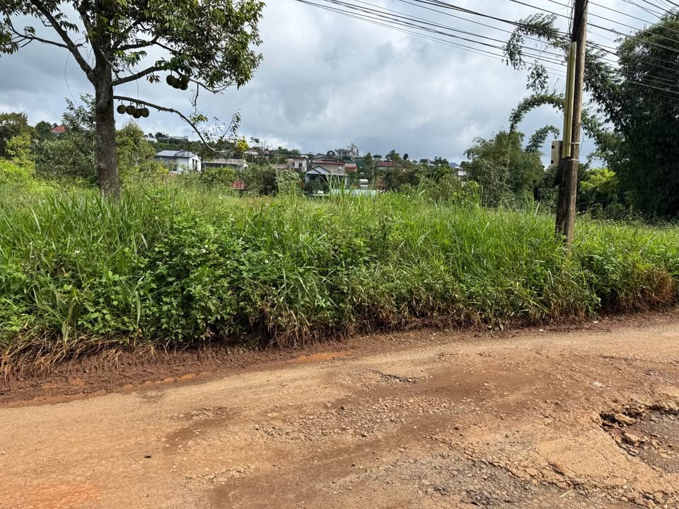 Đất thổ cư 500m² mặt tiền đường Tân Châu - Giá 1.15 tỷ, thương lượng tốt!