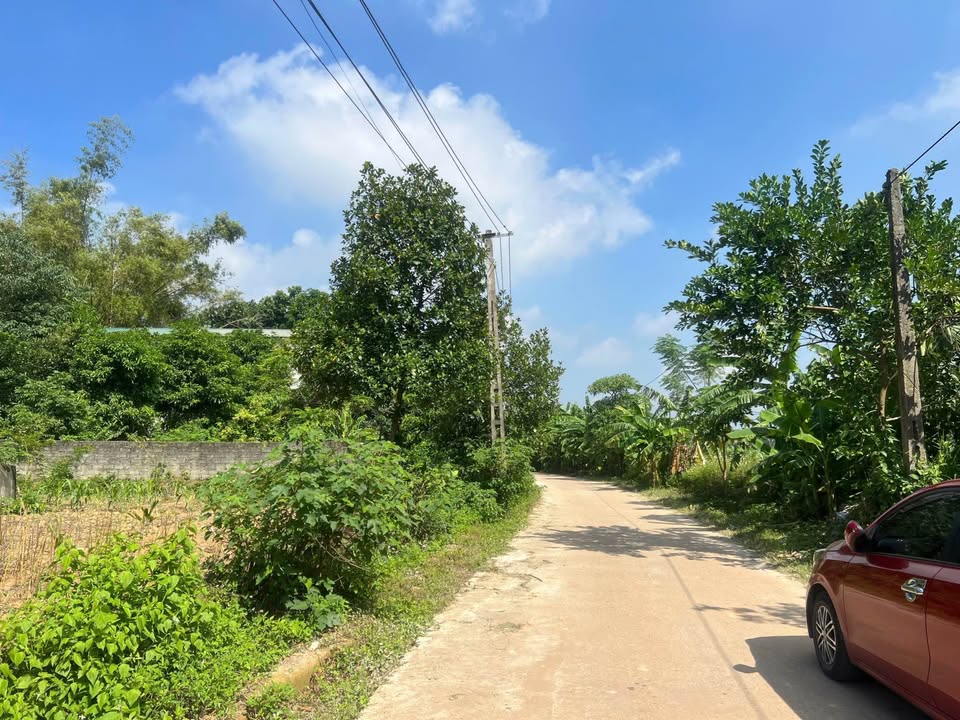 Đất đẹp Thụy Vân 105m² giá 1.7 tỷ - Tiềm năng tăng giá cao!