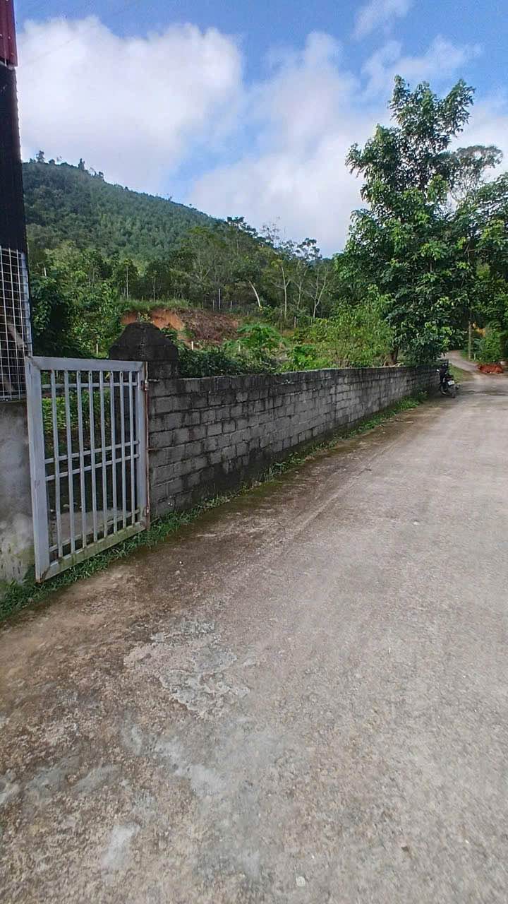 Đất nền chính chủ 320m² khu Soi Cả, Thanh Sơn giá 1.65 tỷ - Sổ đỏ đầy đủ!