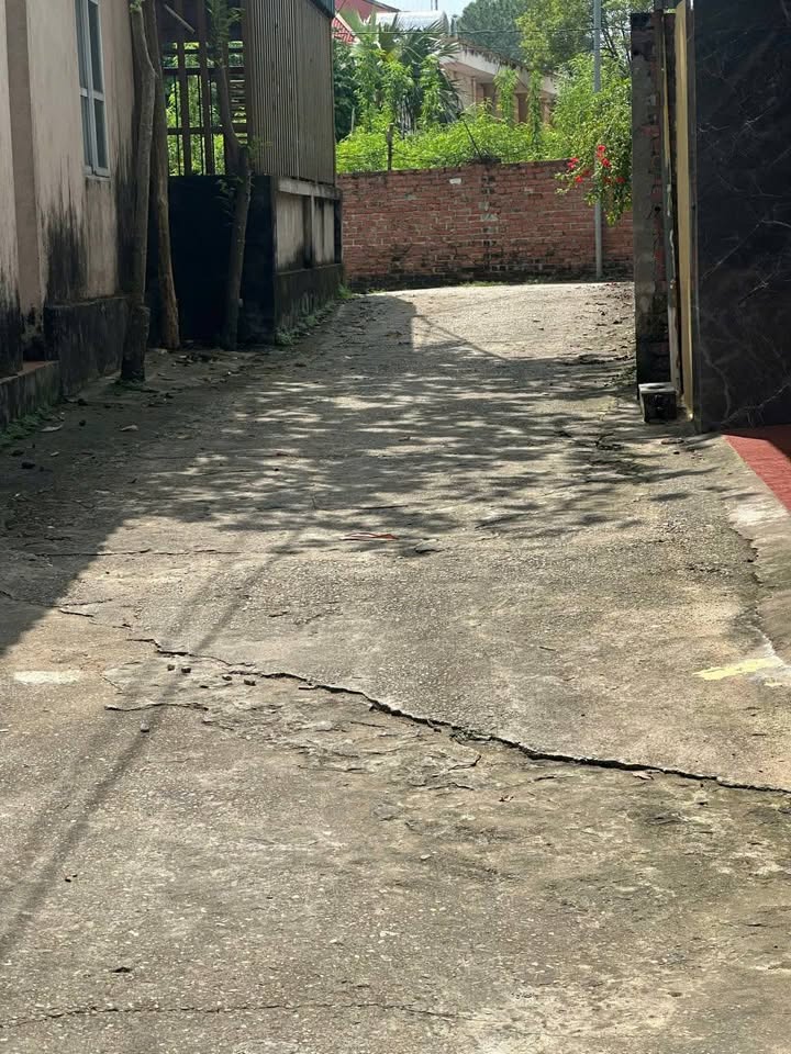 Đất thổ cư 79m² tại Vũ Thế Lang, Việt Trì - Giá chỉ 2 tỷ!