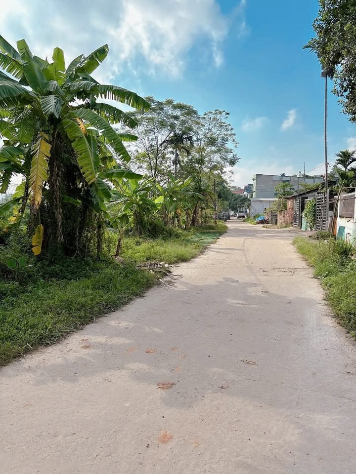 Đất nền Nông Trang Việt Trì 90m² giá 1.6 tỷ - Mặt tiền đẹp, vị trí đắc địa!