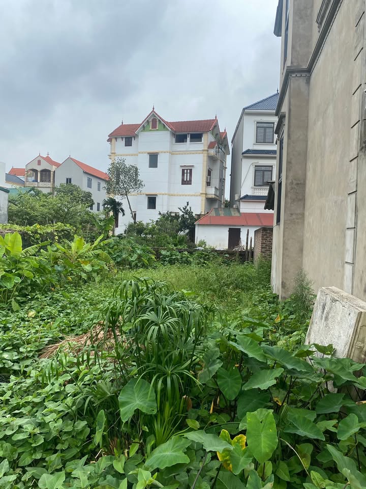 Đất Thư Phú Thường Tín 78m² giá 234 triệu - Cơ hội đầu tư không thể bỏ lỡ!