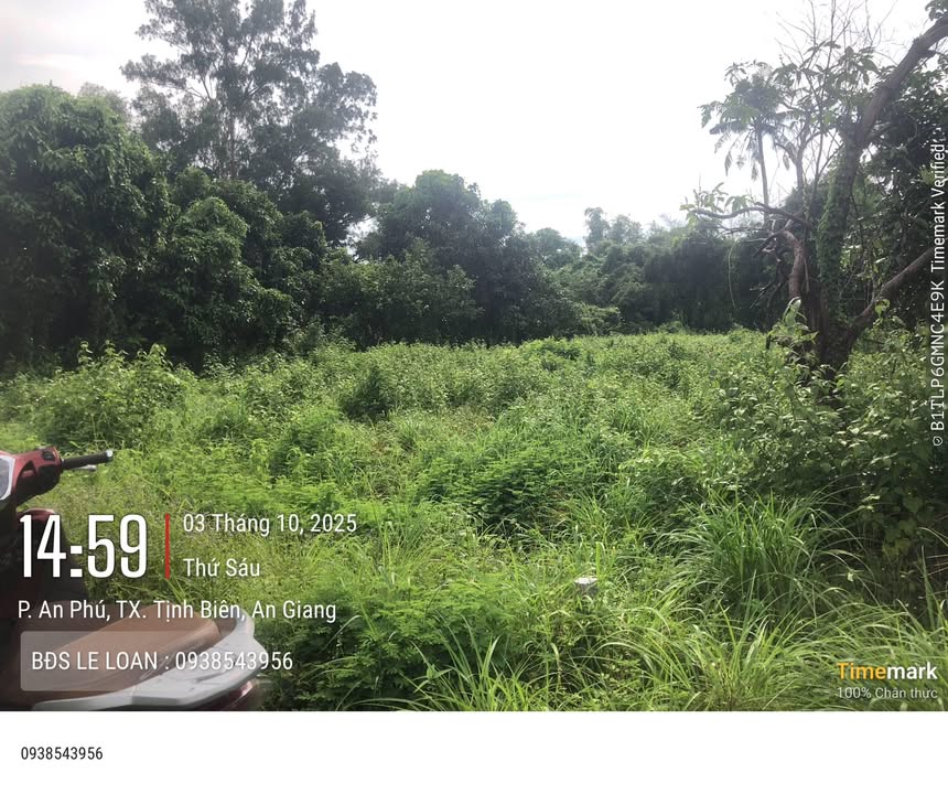 Đất nền 600m² tại Phường An Phú, Tịnh Biên - Sổ hồng chính chủ, giá 550 triệu!