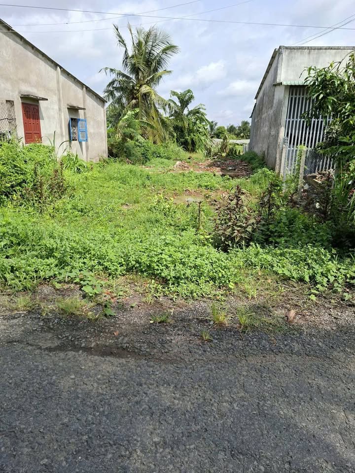 Đất nền tại Khu phố Thuận Hòa, Gò Công 370m² giá 750 triệu - Mặt tiền nhựa đẹp