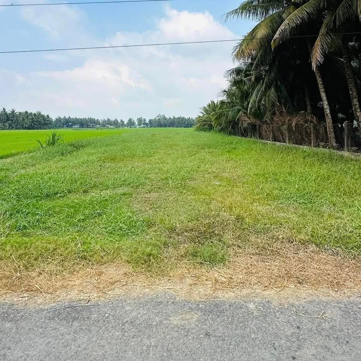 Đất nền Gò Công Tây 1.327m² giá 1.75 tỷ - Đường nhựa, View kênh đẹp!